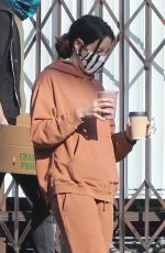 AUBREY PLAZA Out and About in Los Angeles 01/03/2021
