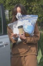 AUBREY PLAZA Out and About in Los Angeles 01/03/2021