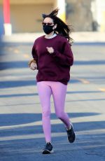 AUBREY PLAZA Out and About in Los Angeles 01/04/2021
