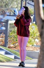 AUBREY PLAZA Out and About in Los Angeles 01/04/2021