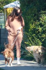 AUBREY PLAZA Out with Her Dogs in Los Angeles 12/30/2020
