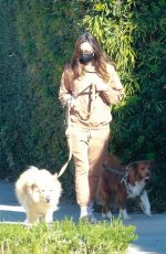 AUBREY PLAZA Out with Her Dogs in Los Angeles 12/30/2020