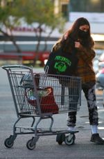 CHANTEL JEFFRIES Shopping at Whole Foods in West Hollywood 01/19/2021