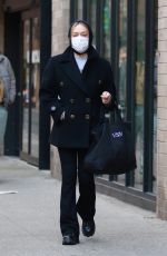 CHLOE SEVIGNY Out and About in New Nork 01/22/2021