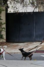 ELISABETTA CANALIS Out with Her Dogs in West Hollywood 01/10/2021