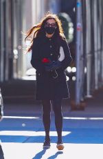 FAMKE JANSSEN Out and About in New York 01/06/2021
