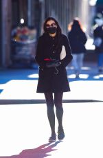 FAMKE JANSSEN Out and About in New York 01/06/2021