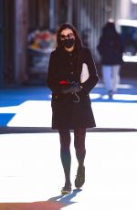 FAMKE JANSSEN Out and About in New York 01/06/2021