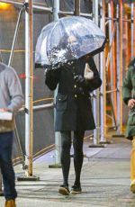 FAMKE JANSSEN Out and About in New York 01/15/2021