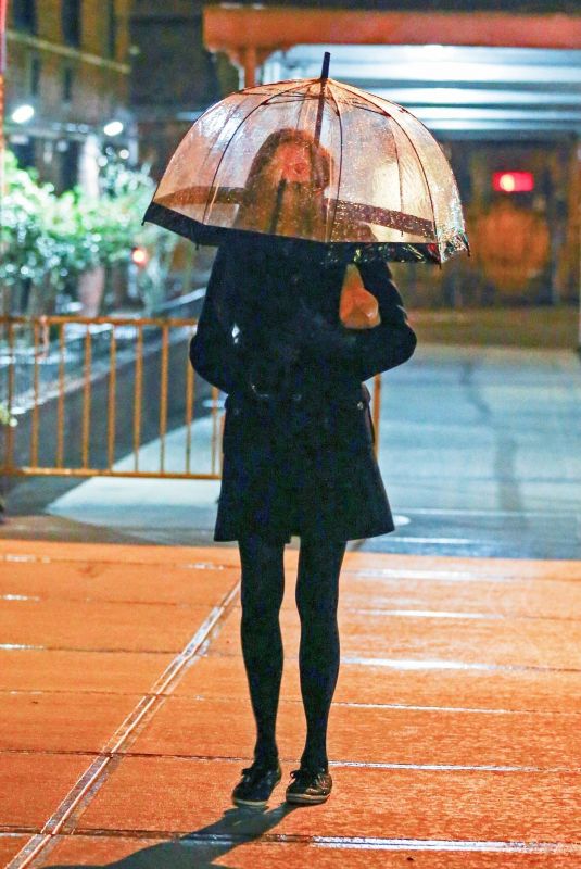 FAMKE JANSSEN Out and About in New York 01/15/2021