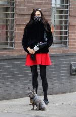 FAMKE JANSSEN Out with Her Dog in New York 01/05/2021
