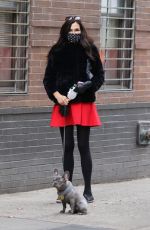 FAMKE JANSSEN Out with Her Dog in New York 01/05/2021