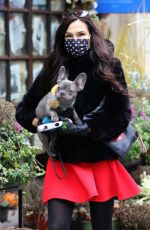 FAMKE JANSSEN Out with Her Dog in New York 01/05/2021