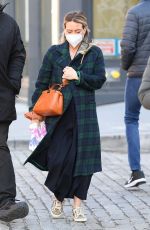 HILARY DUFF Out and About in Brooklyn 01/28/2021