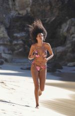 IMAAN HAMMAM in Bikini at a Beach in St. Barth 01/08/2021