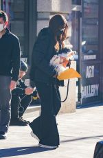 IMAN Out with Her Dog in New York 01/07/2021
