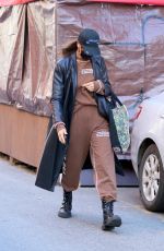 IRINA SHAYK Heading to a Spa in New York 01/23/2021