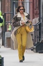 IRINA SHAYK Out and About in New York 01/22/2021