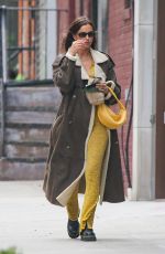 IRINA SHAYK Out and About in New York 01/22/2021