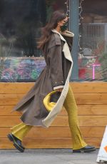 IRINA SHAYK Out and About in New York 01/22/2021
