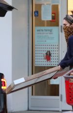 JESSICA ALABA Shopping at Target in Los Angeles 01/02/2021