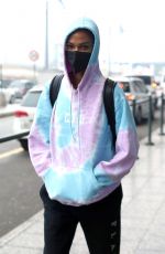 JOAN SMALLS Arrives at Airport in Milan 01/20/2021