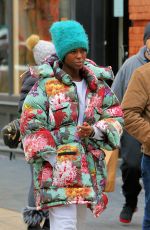JODIE TURNER-SMITH Out in New York 01/16/2021