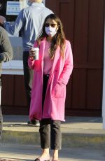 JORDANA BREWSTER in a Pink Coat Out in Los Angeles 01/19/2021