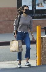 JORDANA BREWSTER in Denim Out in Santa Monica 01/27/2021