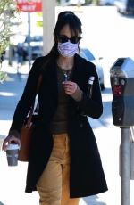 JORDANA BREWSTER Out and About in Brentwood 01/26/2021