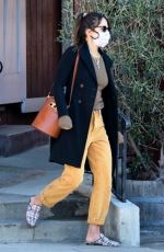 JORDANA BREWSTER Out and About in Brentwood 01/26/2021