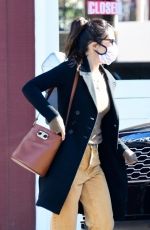 JORDANA BREWSTER Out and About in Brentwood 01/26/2021