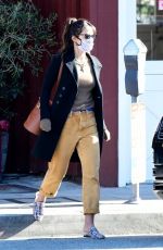 JORDANA BREWSTER Out and About in Brentwood 01/26/2021