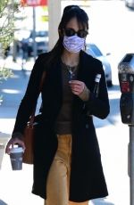 JORDANA BREWSTER Out and About in Brentwood 01/26/2021