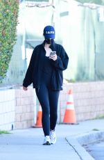 KATHERINE SCHWARZENEGGER Out and About in Brentwood 01/10/2021