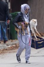 KELLY OSBOURNE Out with her Dogs in West Hollywood 01/25/2021
