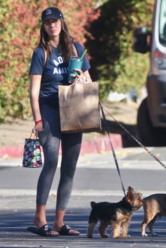 KRISTEN DOUTE Out with Her Dogs in Los Angeles 01/15/2021