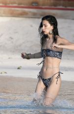LEXY PANTERRA in Bikini at a Beach in St Barths 01/23/2021