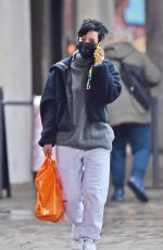 LILY ALLEN Out in London 01/12/2021