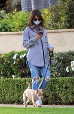 LILY COLLINS in Ripped Denim Out with Her Dog in Los Angeles 01/22/2021