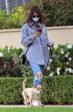 LILY COLLINS in Ripped Denim Out with Her Dog in Los Angeles 01/22/2021