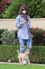 LILY COLLINS in Ripped Denim Out with Her Dog in Los Angeles 01/22/2021