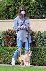 LILY COLLINS in Ripped Denim Out with Her Dog in Los Angeles 01/22/2021