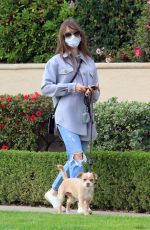 LILY COLLINS in Ripped Denim Out with Her Dog in Los Angeles 01/22/2021