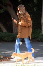 LILY COLLINS Out with Her Dog in Los Angeles 01/13/2021