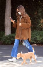 LILY COLLINS Out with Her Dog in Los Angeles 01/13/2021