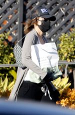 LISA RINNA Out and About in Bel Air 12/30/2020