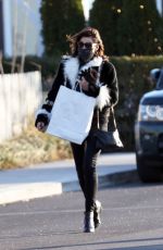 LUANN DE LESSEPS Out Shopping in New York 12/28/2020