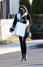 LUANN DE LESSEPS Out Shopping in New York 12/28/2020