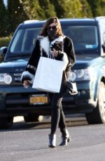 LUANN DE LESSEPS Out Shopping in New York 12/28/2020